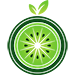KiwiPrompts logo